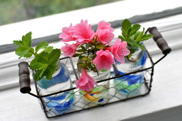 The Quiet Magic of Empty Glass